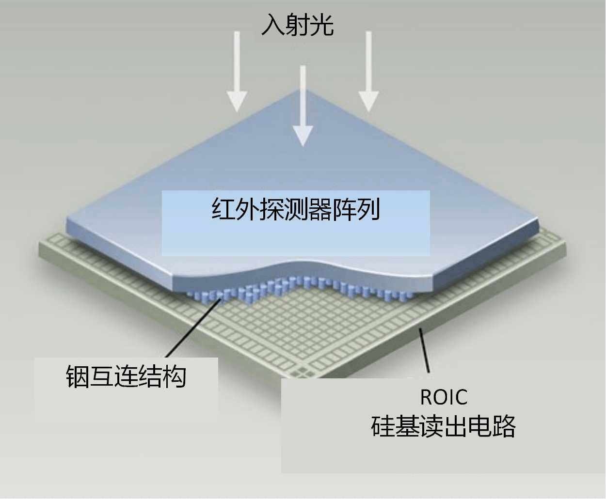 小孔成像仪的简单做法图片