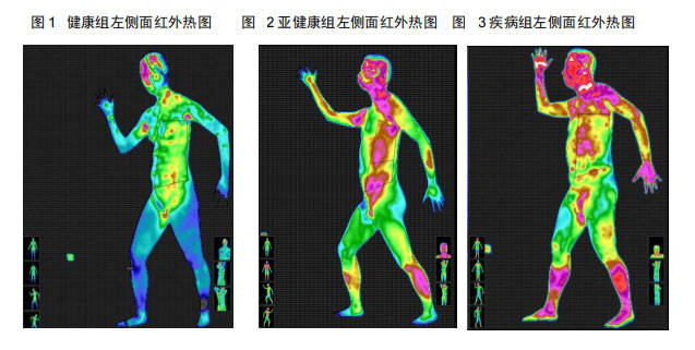 红外热像仪热图报告图片